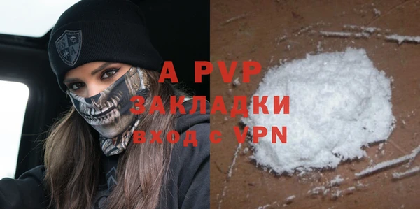 PSILOCYBIN Болхов