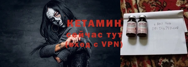 гидра Няндома
