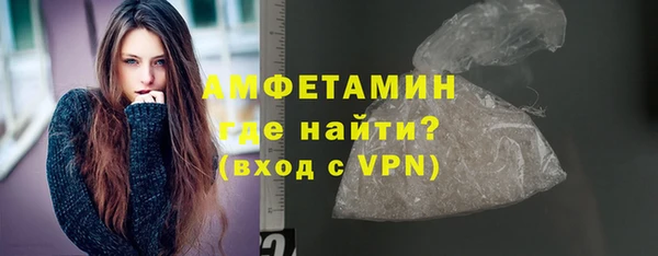 гидра Няндома