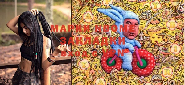 гидра Няндома