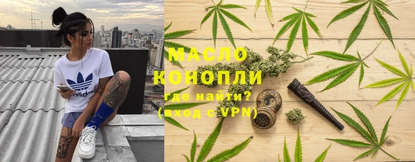 гидра Няндома