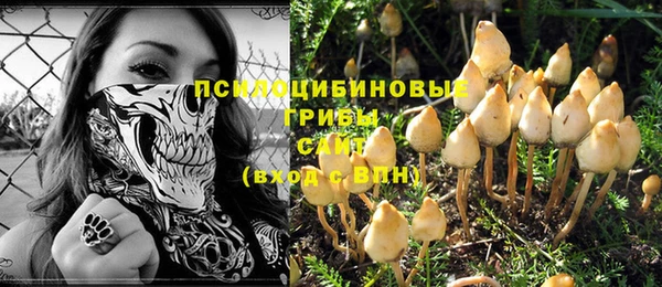 круглые Осинники