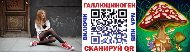 Галлюциногенные грибы Psilocybe Туринск