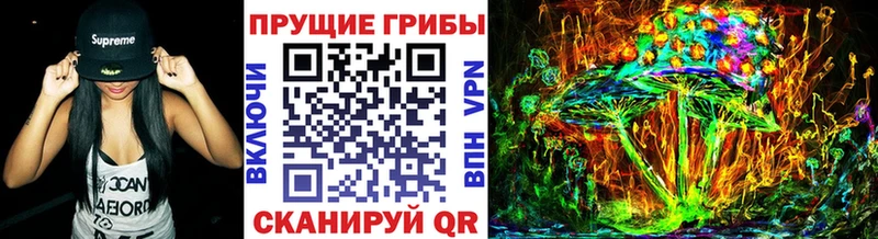 где продают наркотики  Туринск  Псилоцибиновые грибы Psilocybe 